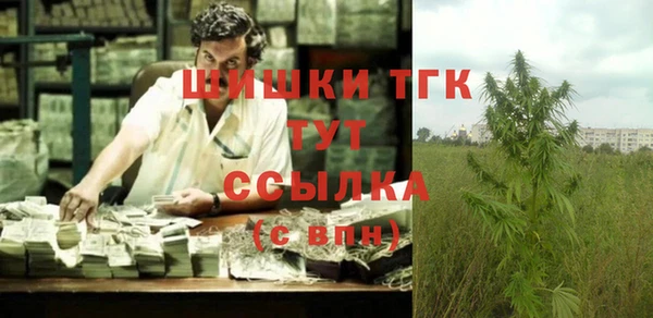 МДПВ Гусев