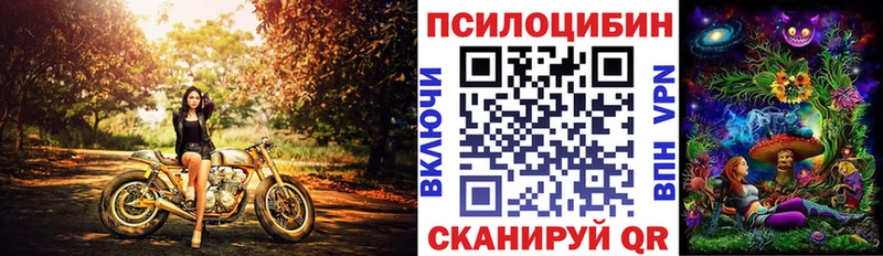 закладки  Бронницы  Псилоцибиновые грибы Magic Shrooms 